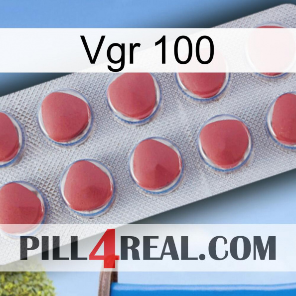 Vgr 100 18.jpg